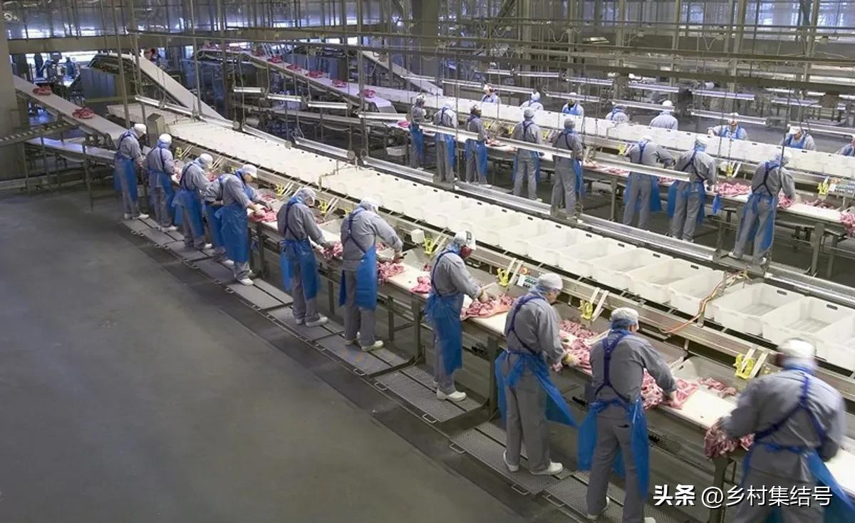 涓归害鐨囧閽荤煶鐨囧啝,涓归害鐨囧啝s绯诲垪