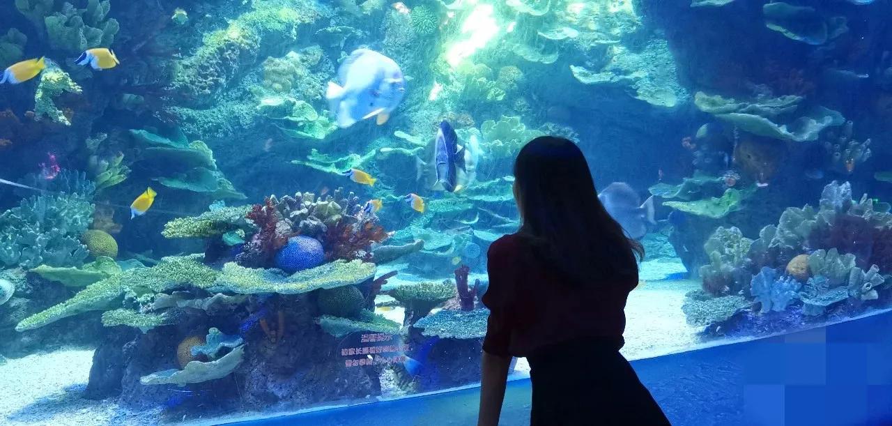 职场小白如何开始创业,职场瓶颈期如何转行创业