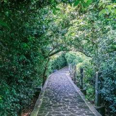 海南东海岸全攻略,海口万宁三亚的景点推荐