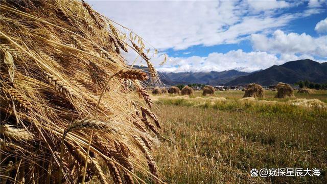 去西藏回来酒量变差,到西藏喝酒问题大吗