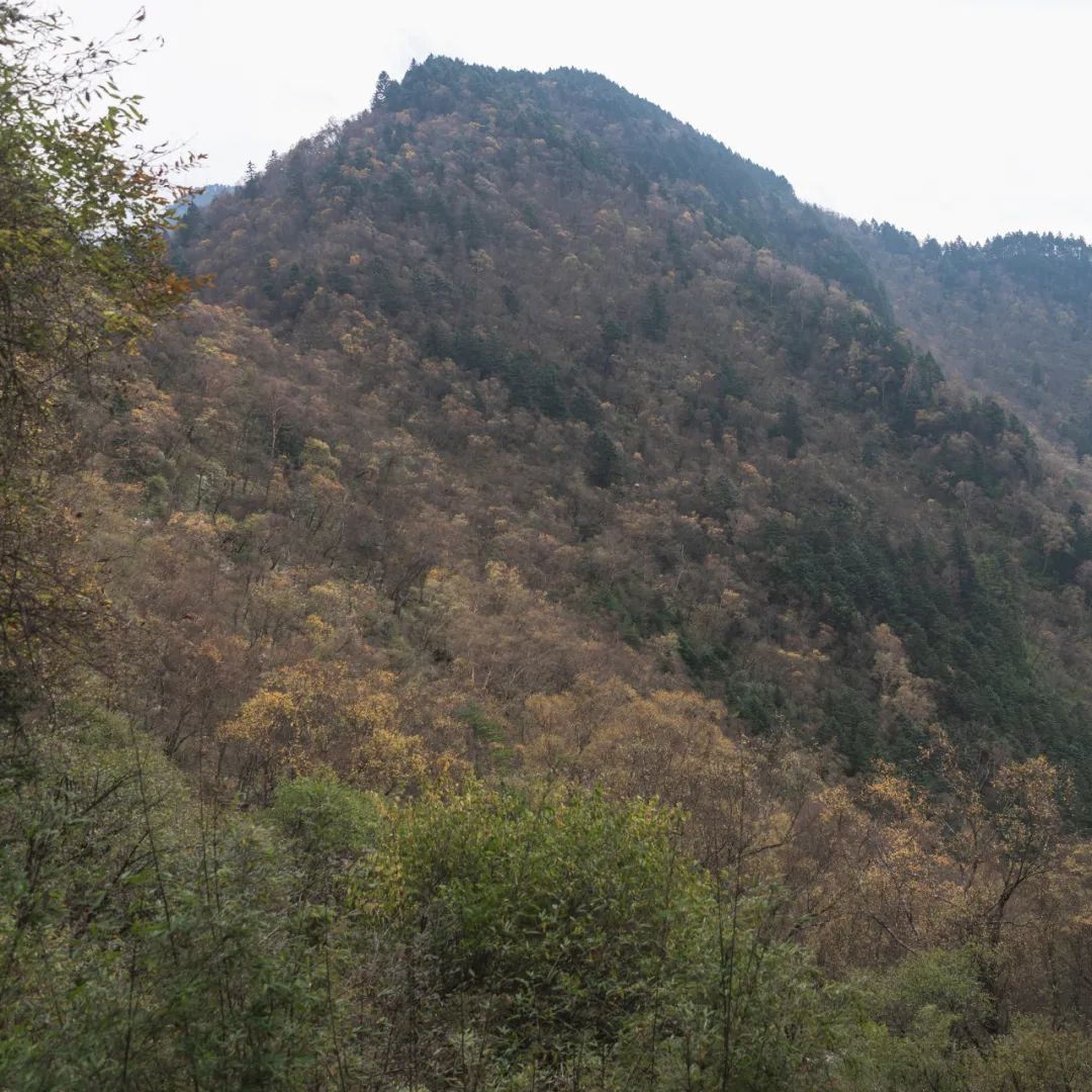 太白山是陕西最高点吗,秦岭最高峰太白山