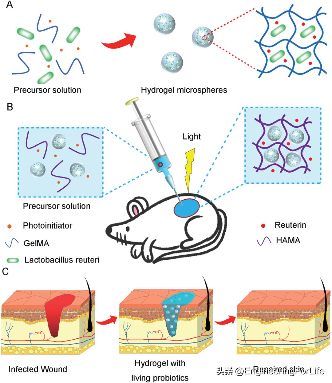 水凝胶微球国内有吗,高分子微球水凝胶