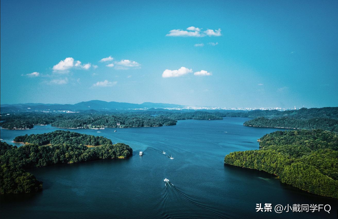 大江西特色美食,江西省各大城市的特产