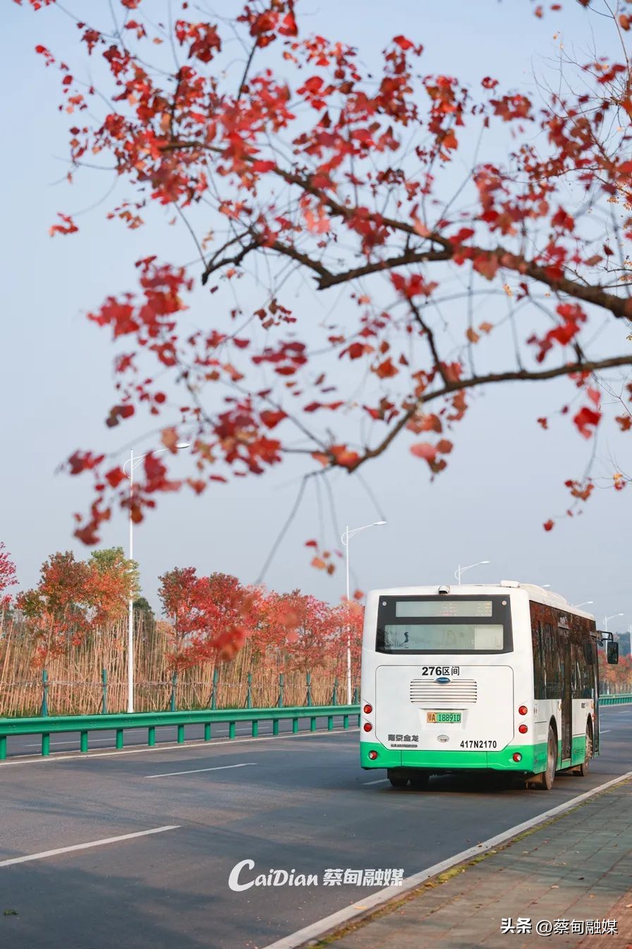 蔡甸区最新重点建设,蔡甸中法生态宜居新城