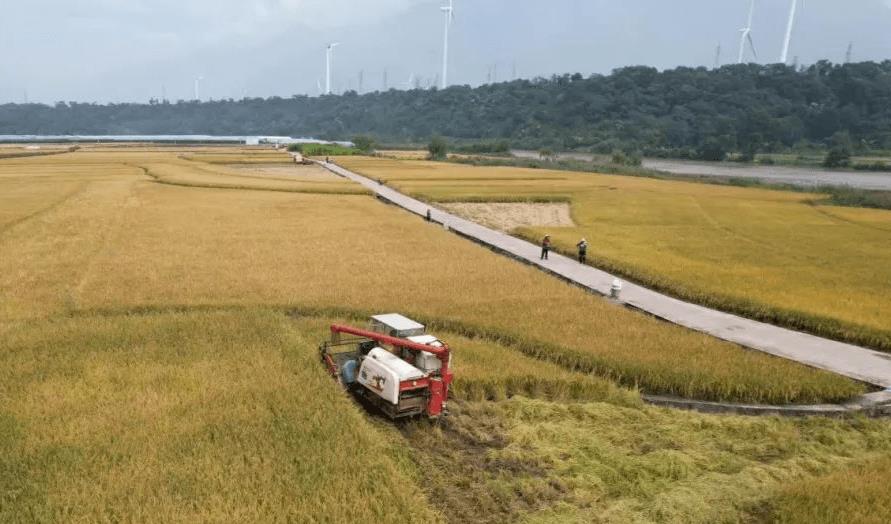 今晨财经必读50篇,今晨财经必读2024