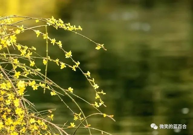 岁月安生时光静好,岁月静好万物皆期待