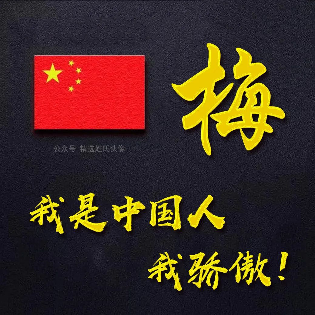 带有五星红旗的爱国头像,五星红旗加曹姓氏头像