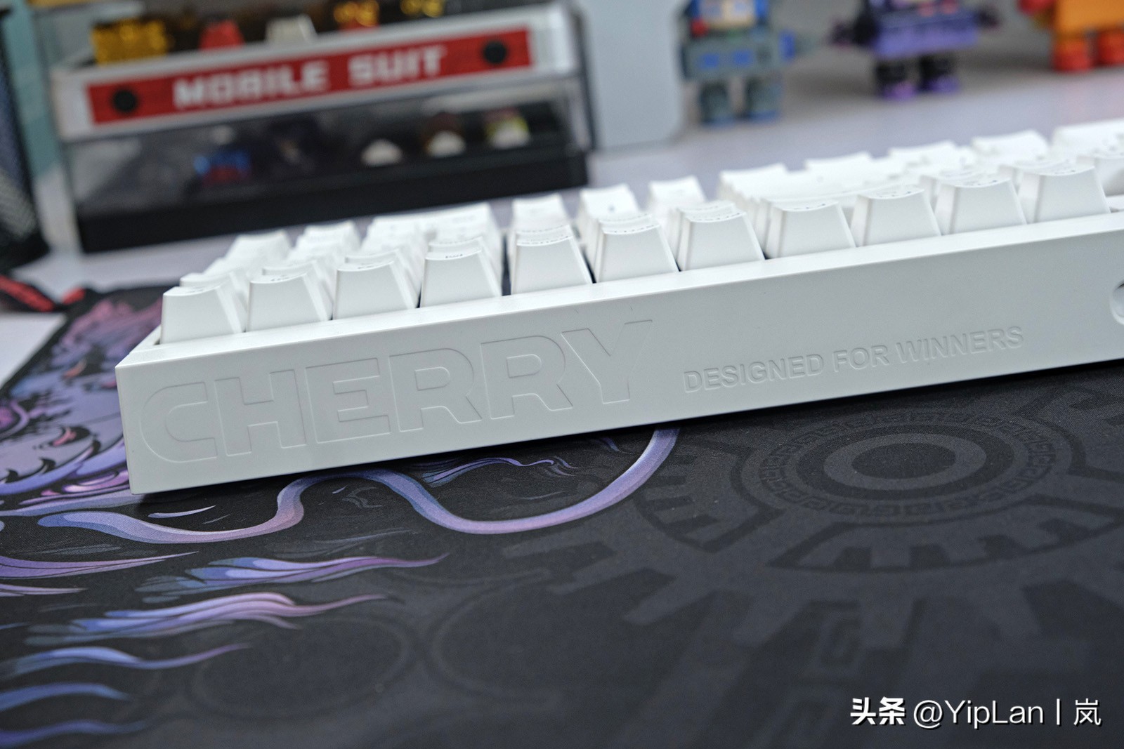 cherry澶栬鎺ㄨ崘,鍞湁淇′话涓嶅彲杈滆礋