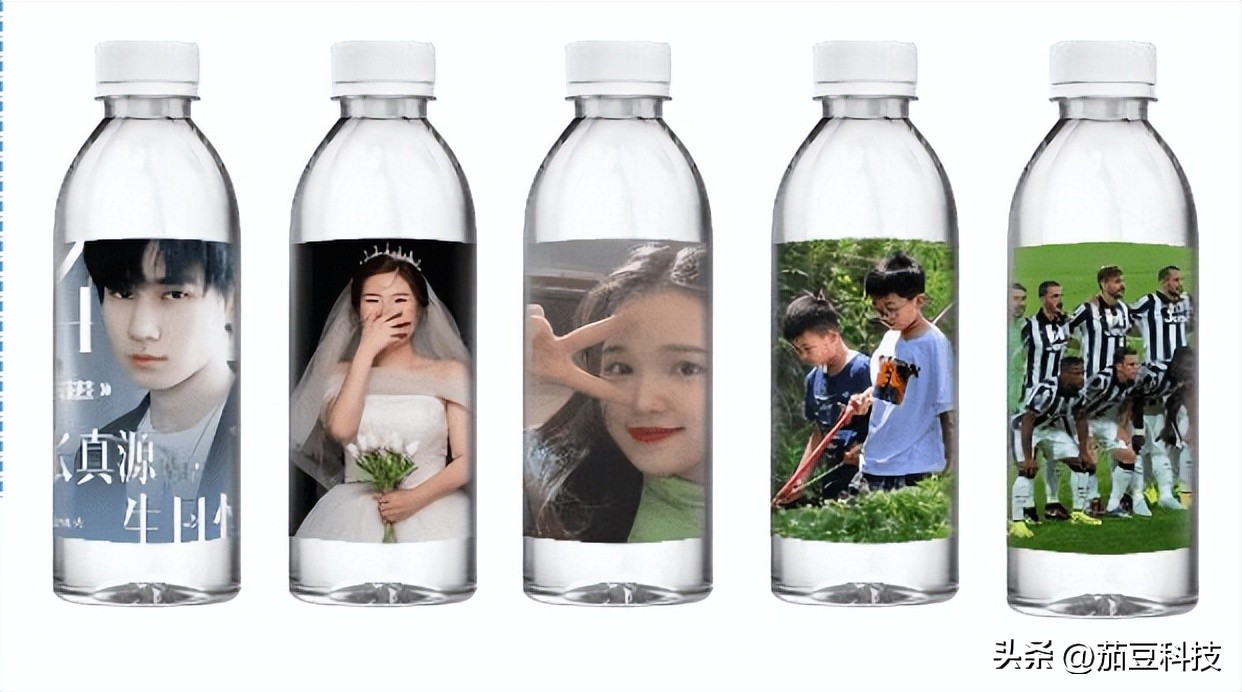 茄豆：用技术驱动可持续公益，创造多元社会价值