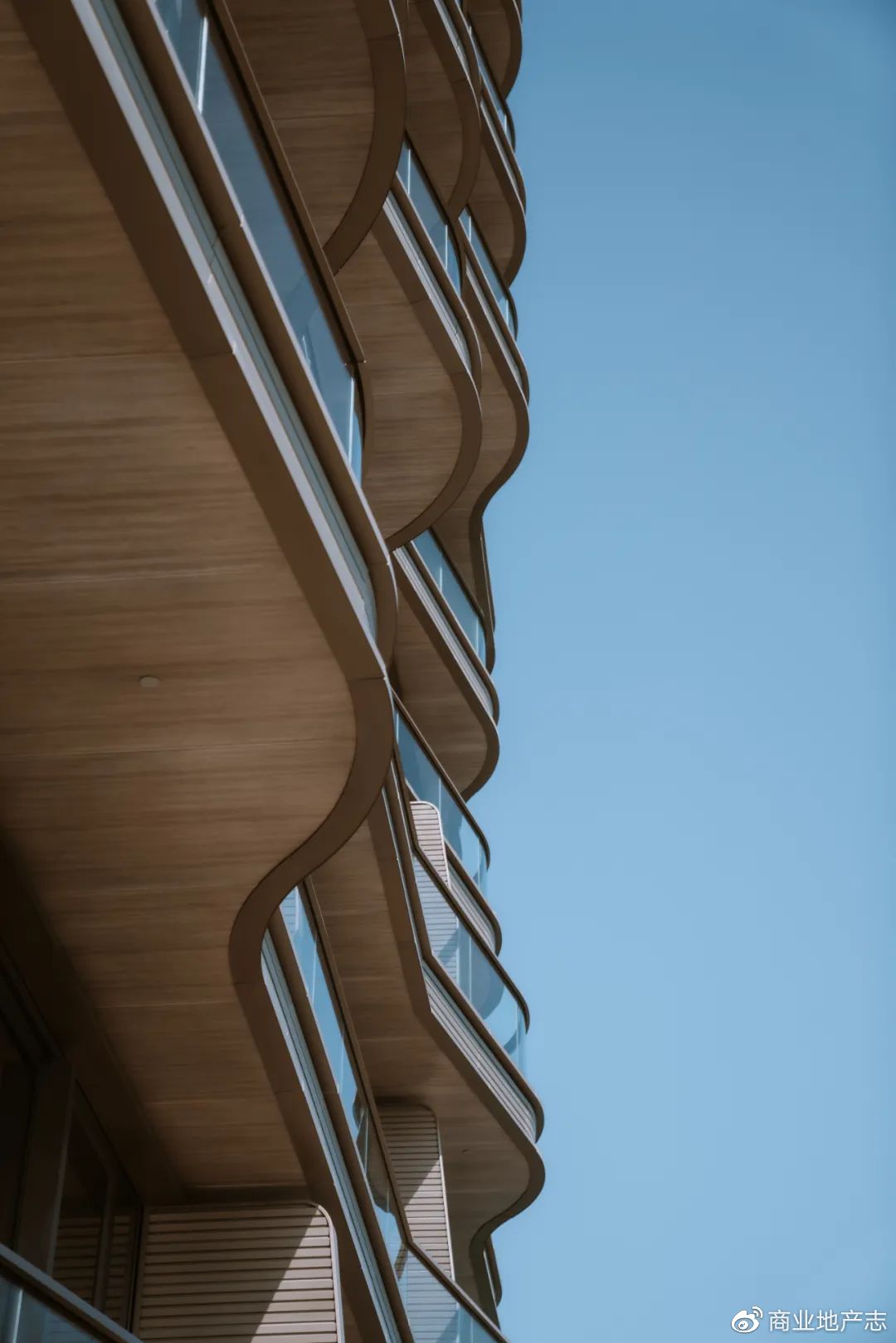 CRR杂谈|HK7日，我与7个香港商业人的深聊记录