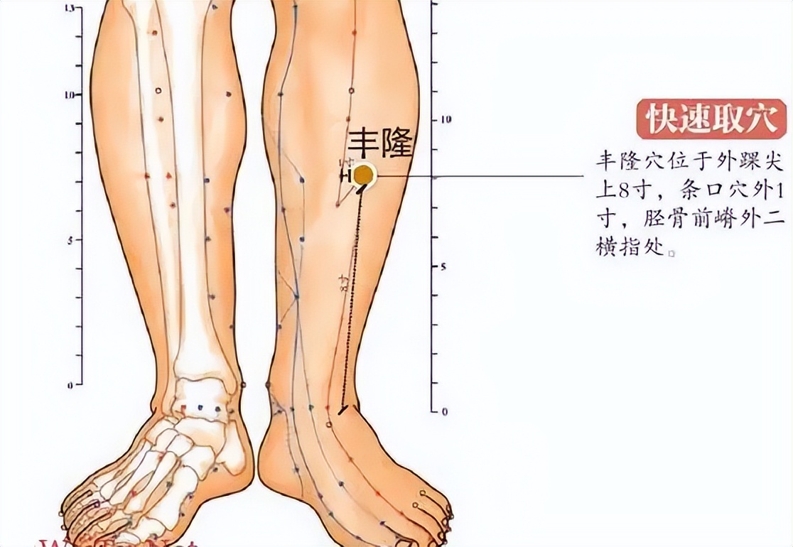 油光满面是体内湿气太重吗,油光满面是肾虚吗