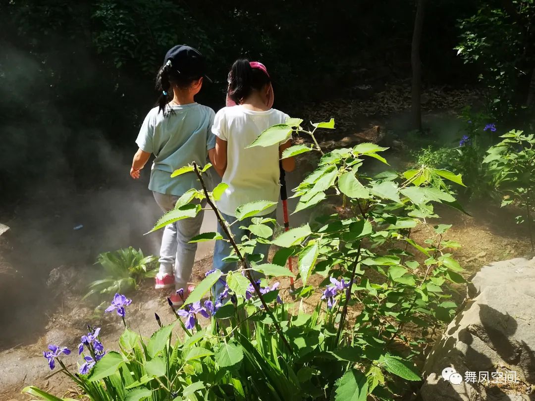 西山国家森林公园海拔,西山国家森林公园昆明