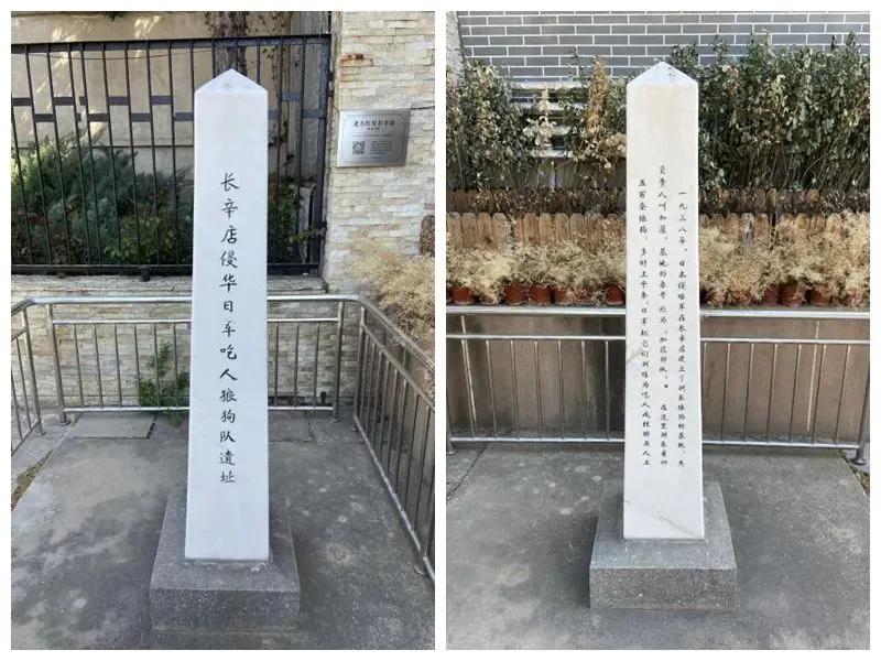 一小战士被鬼子推进狼狗池，10条狼狗扑上来，他冷笑：再多来几只