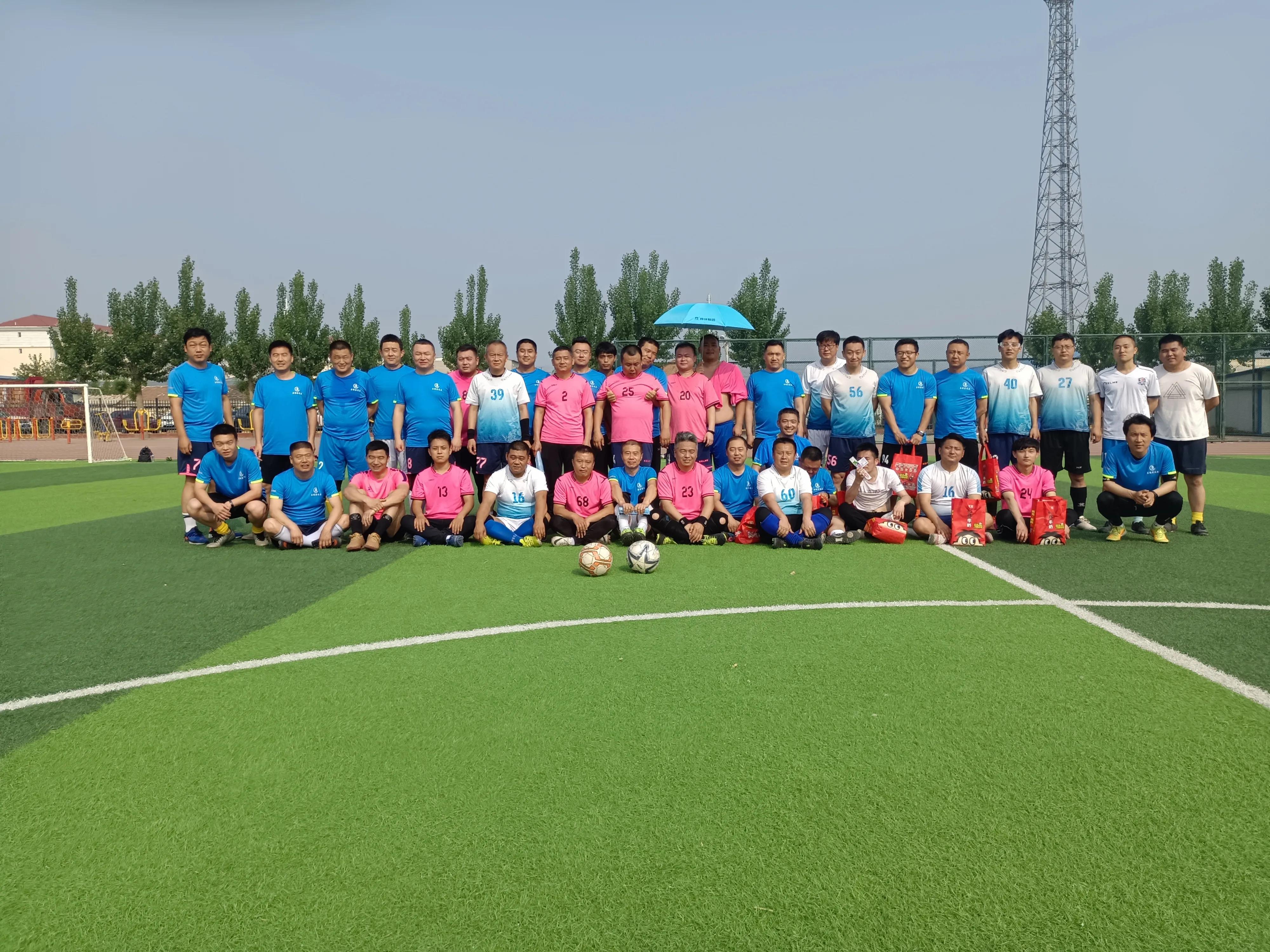 武清足球队,天津津南辛庄镇足球队