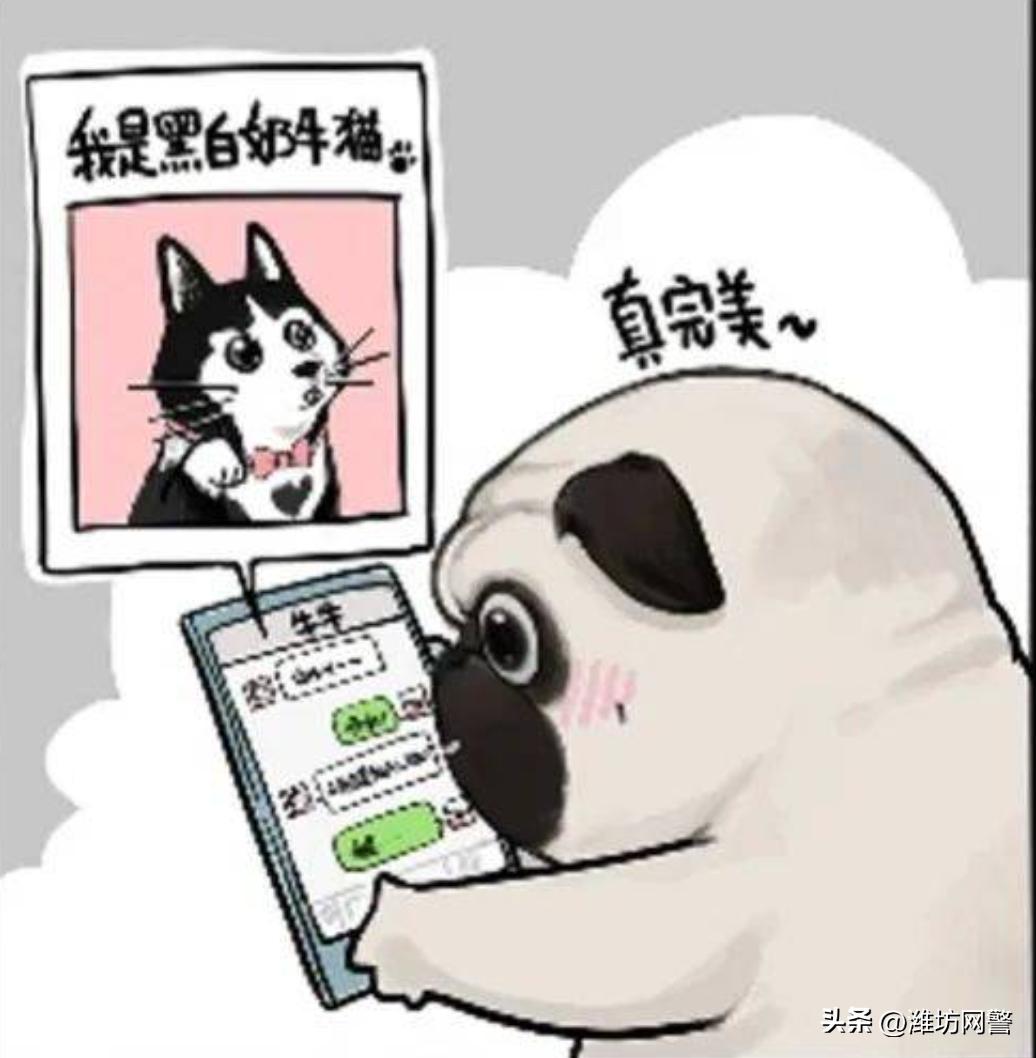 千层套路完整版,历史的千层套路