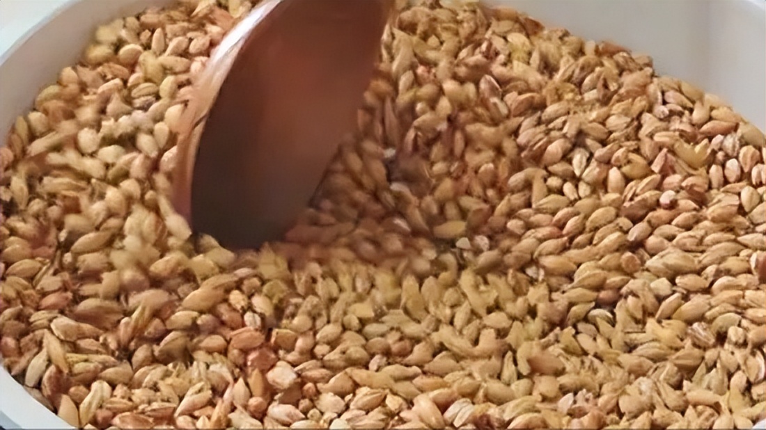 大麦纤维素的特征,研究小麦在人体的化学反应