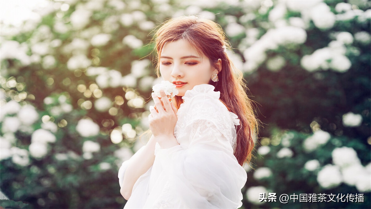 几缕茶香,一壶清茶几缕阳光几分优雅