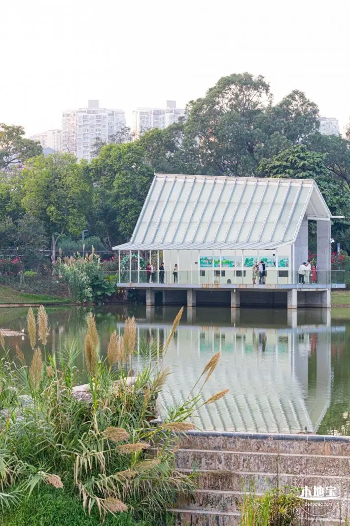 深圳免费好玩旅游景点排行榜前十,深圳十大好玩的景点推荐