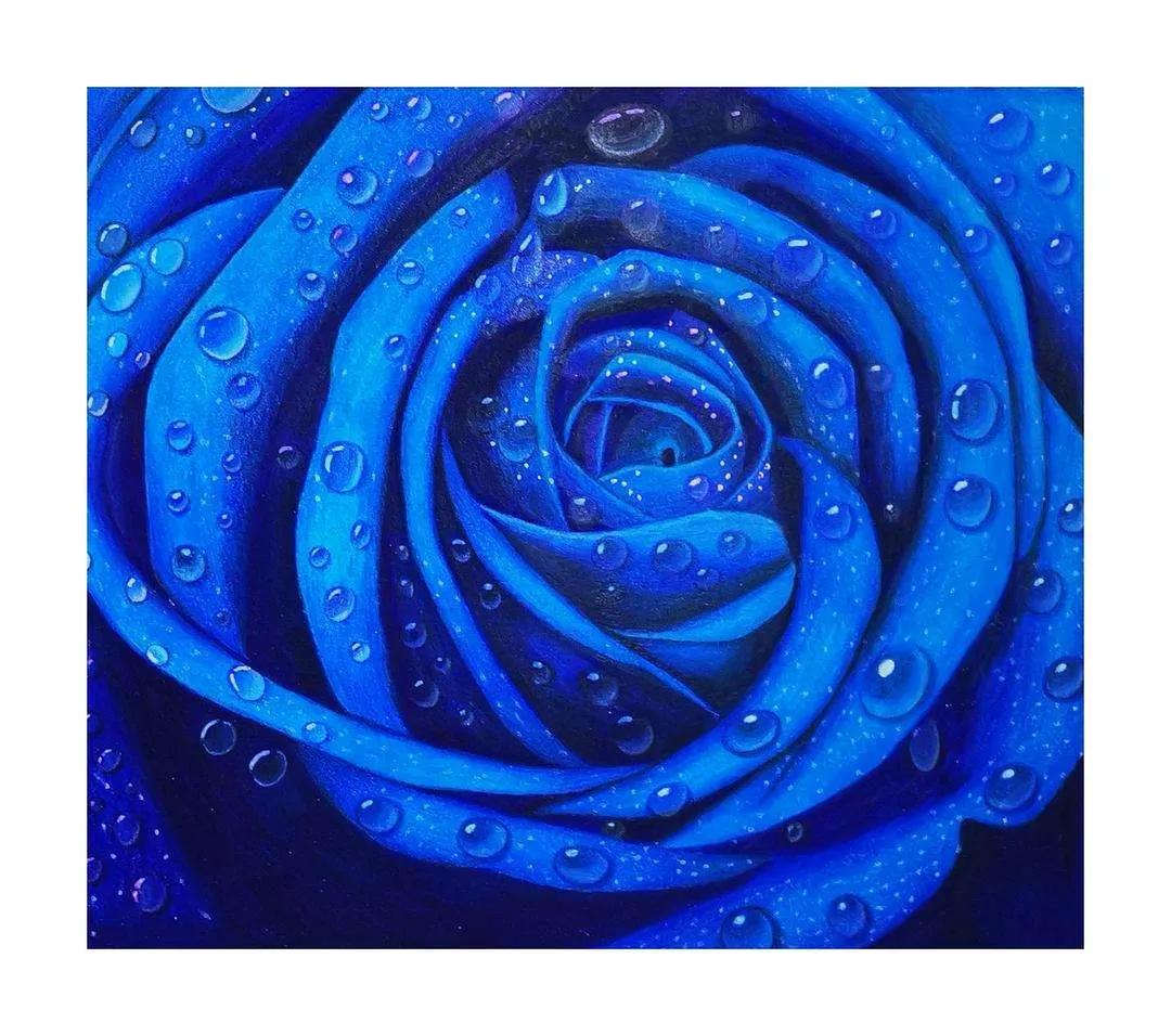 几朵玫瑰的花语是什么,几朵粉色玫瑰加满天星花语