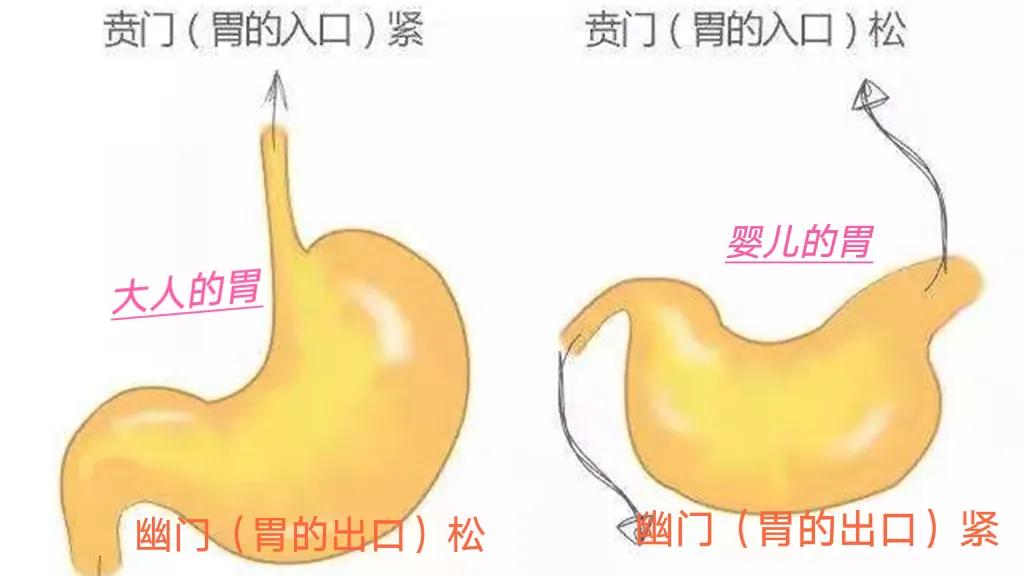 喂奶后竖抱多久可以防止吐奶,婴儿竖抱拍嗝反而吐奶怎么处理