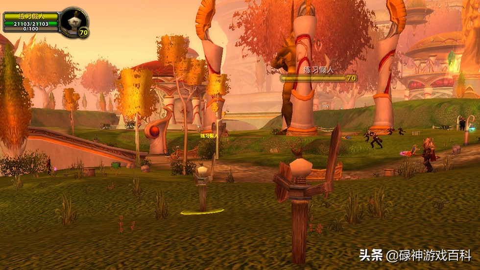 魔兽世界怀旧服装备无法穿戴,魔兽世界怀旧服假人技能