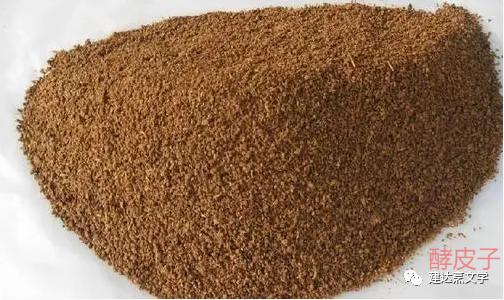 小时候发酵面包,小时候发酵饼