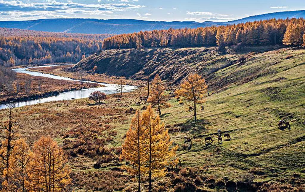 住进新家之后，老婆爱上了楼下邻居，我用离婚成全了他俩