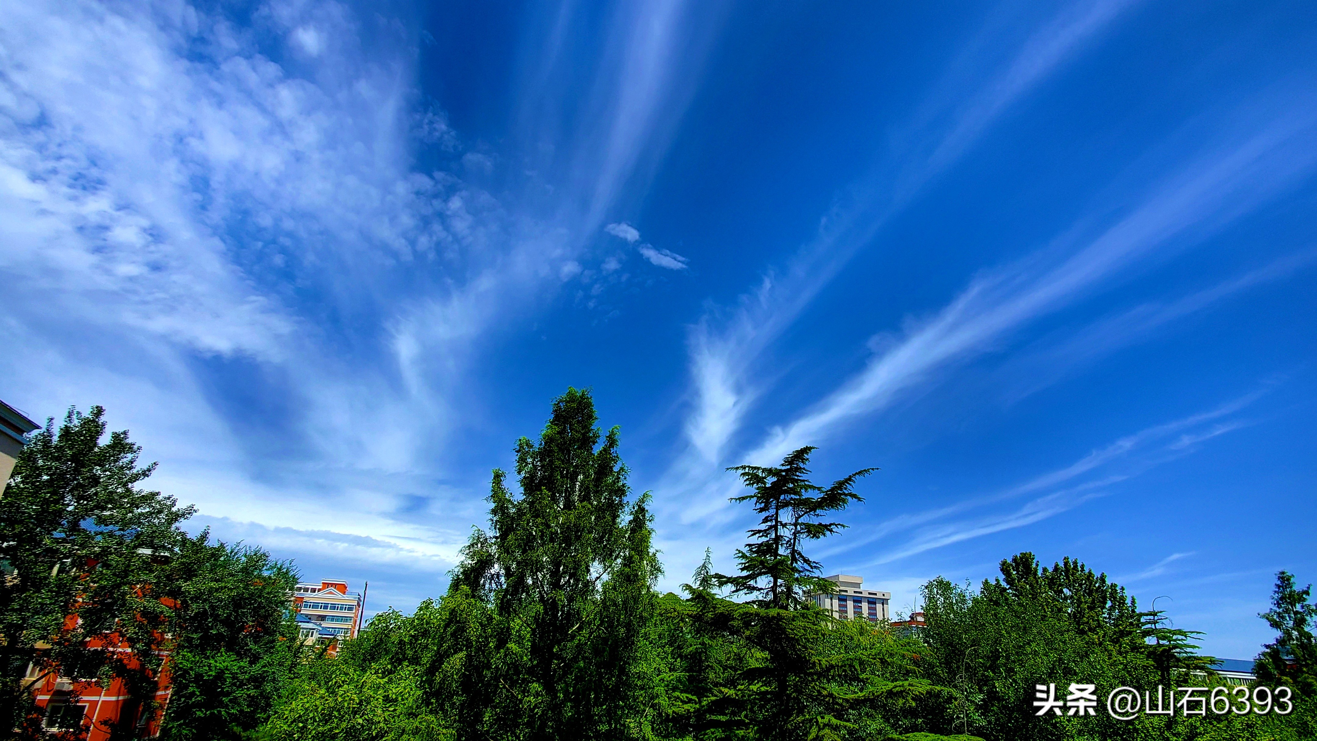 陈民“永远的78师”74：瞎参谋乱干事胡助理～司政后机关的精英们