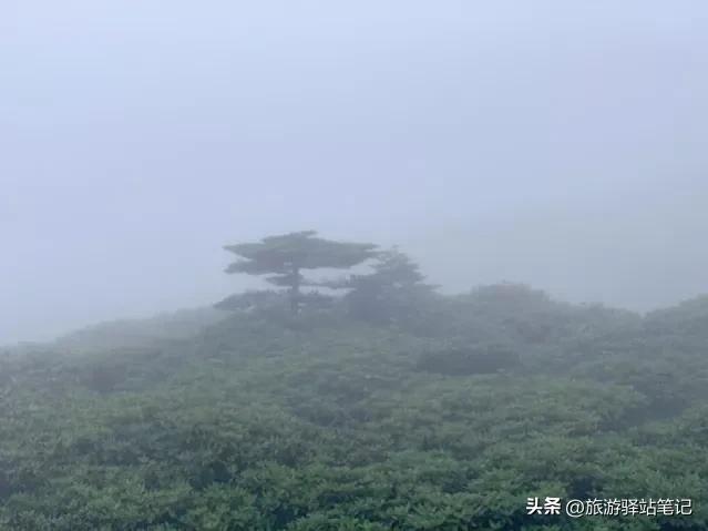 苍山景区游玩攻略,大理苍山旅游攻略小说