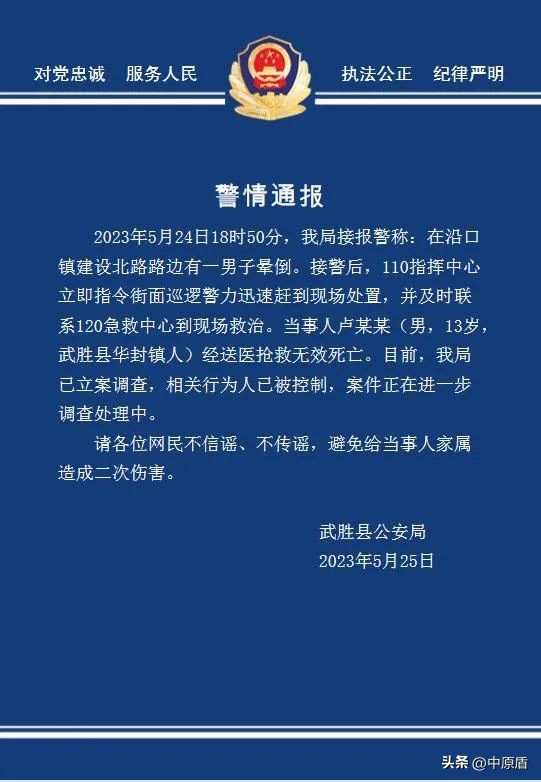 13岁少年被6人围殴致死案判决结果,13岁陕西少年被围殴致死