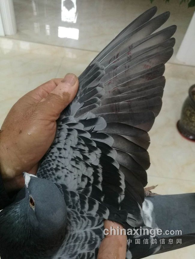 宁镇扬大赛,宁镇扬足球邀请赛