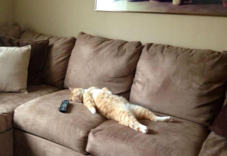 科技布沙发和布艺沙发哪个更耐用,科技布沙发颜色深点好还是浅点好