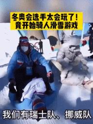 冬奥张国伟比赛视频,张国伟奥运搞笑