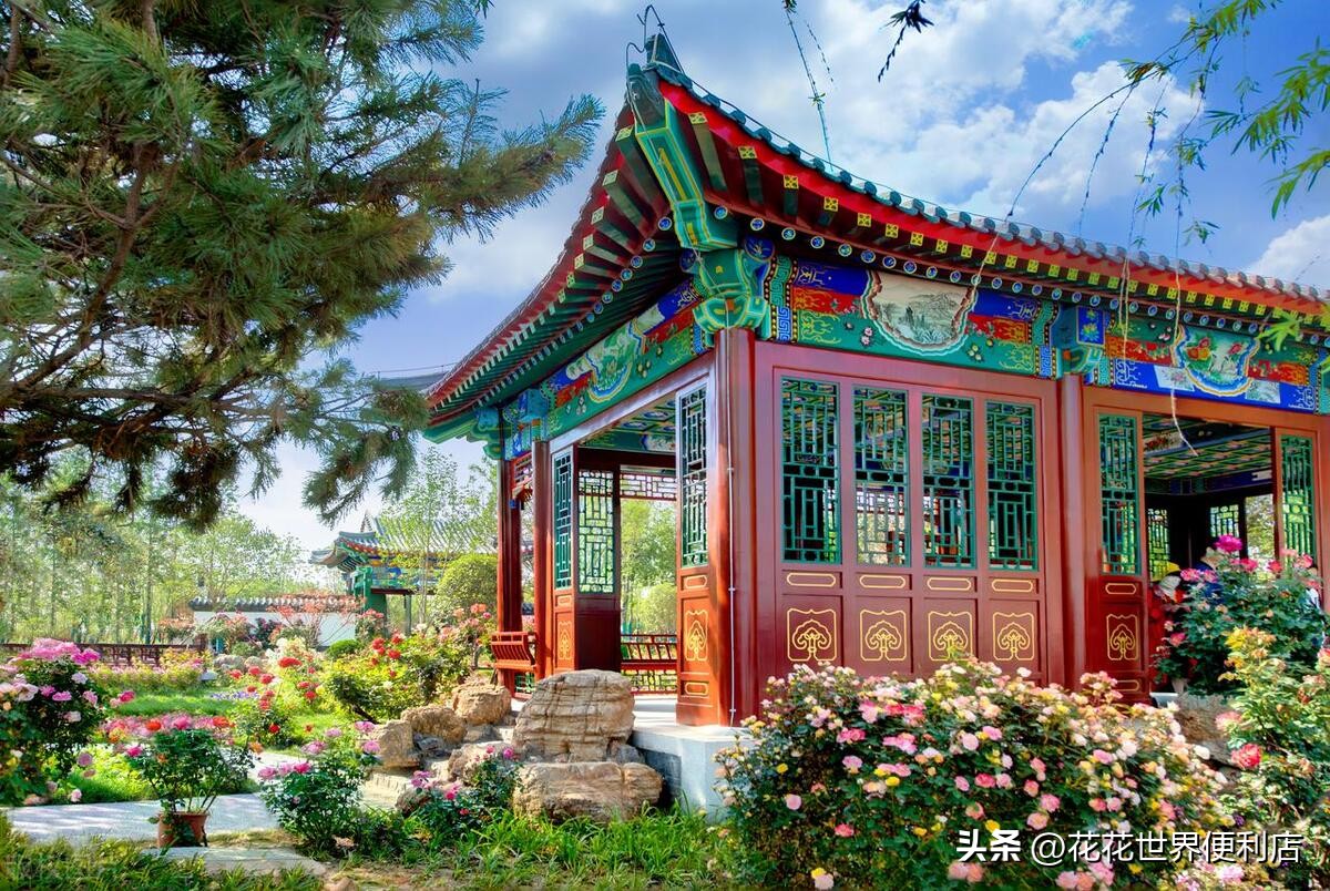 青浦城区和青浦新城板块有啥区别,上海五大新城青浦前景最好