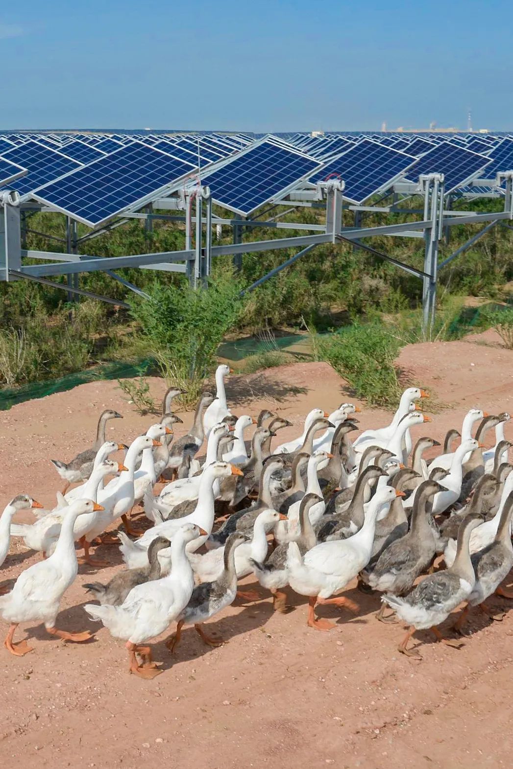 什么鬼城市,煤炭鬼城