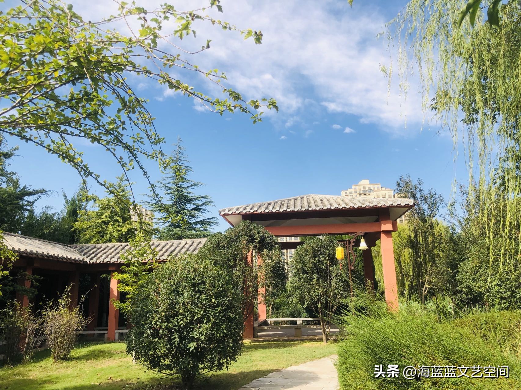 纪实小说：谁看不起你