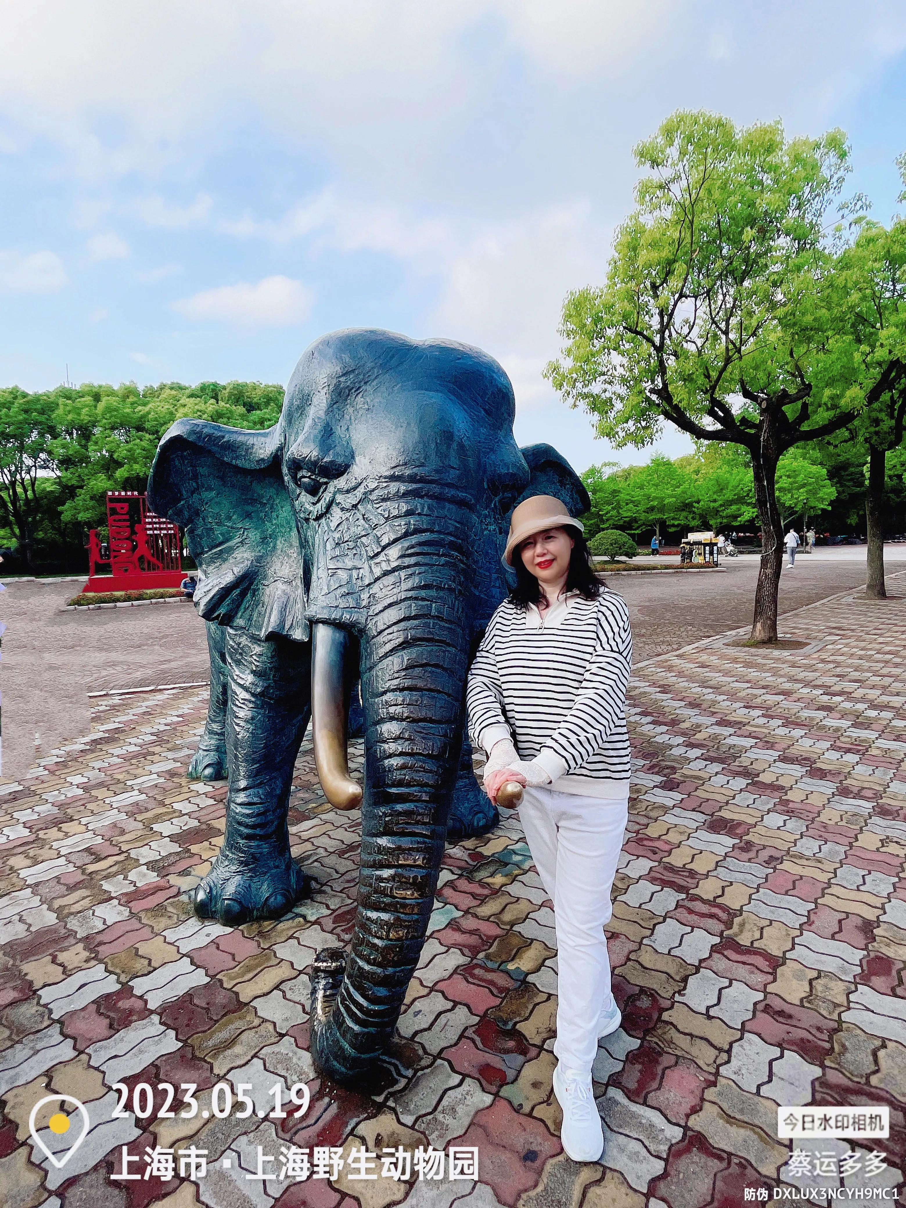 我喜爱的动物是小猫,什么动物招人喜爱