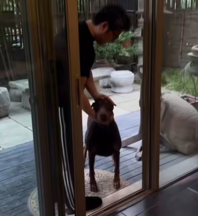 angela王诗龄和王岳伦,王岳伦与angela