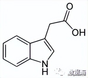色氨酸是氨基酸,色氨酸和氨基酸的区别