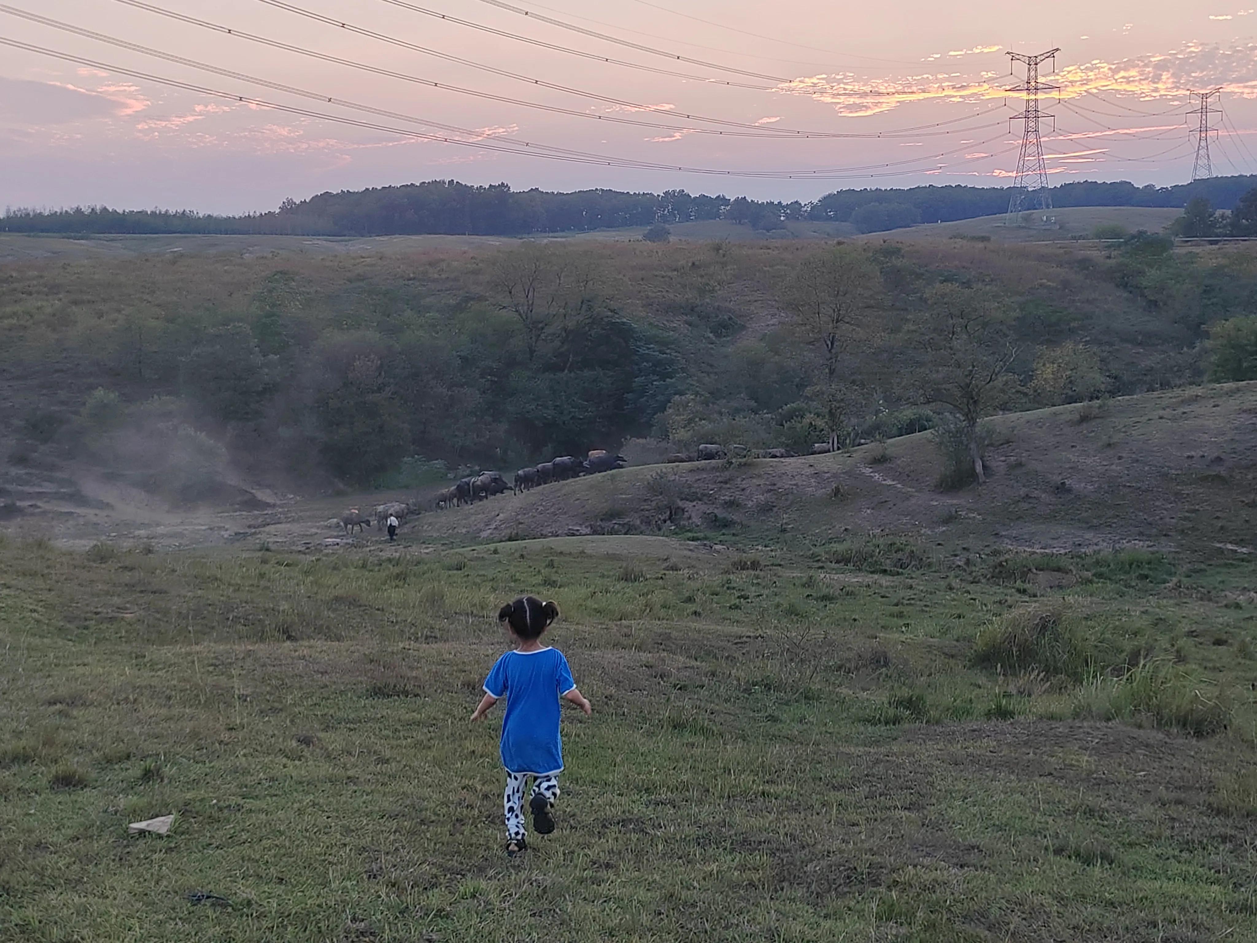 南京春天旅游露营攻略大全,大柳草场露营怎么走