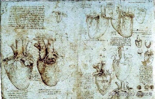 达芬奇不仅是画家还是发明家,达芬奇一个画家为什么这么聪明