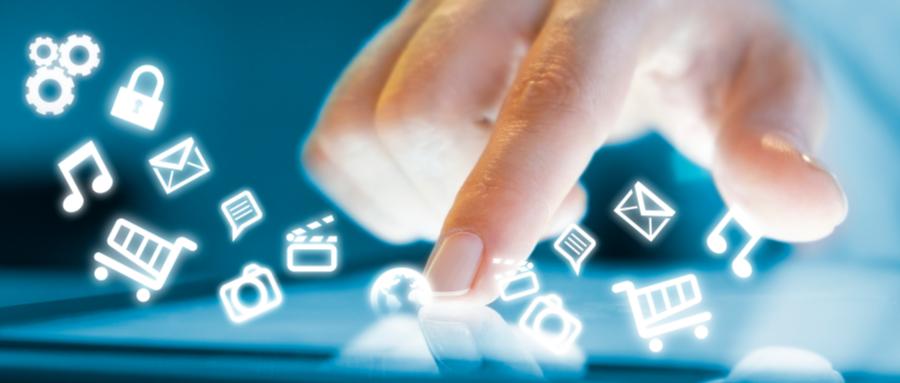 考拉会掉下来吗,考拉现在在哪里生活