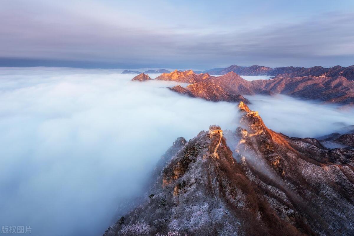 骨盆与大转子的关系,骨盆和大转子