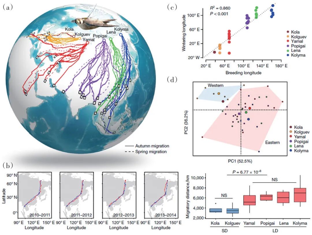 2022年中国科技重大成果,2020年国家重大科技成果