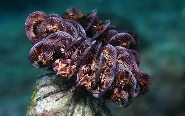 一颗来自地球的螺丝钉,发现外星人遗留的螺丝钉