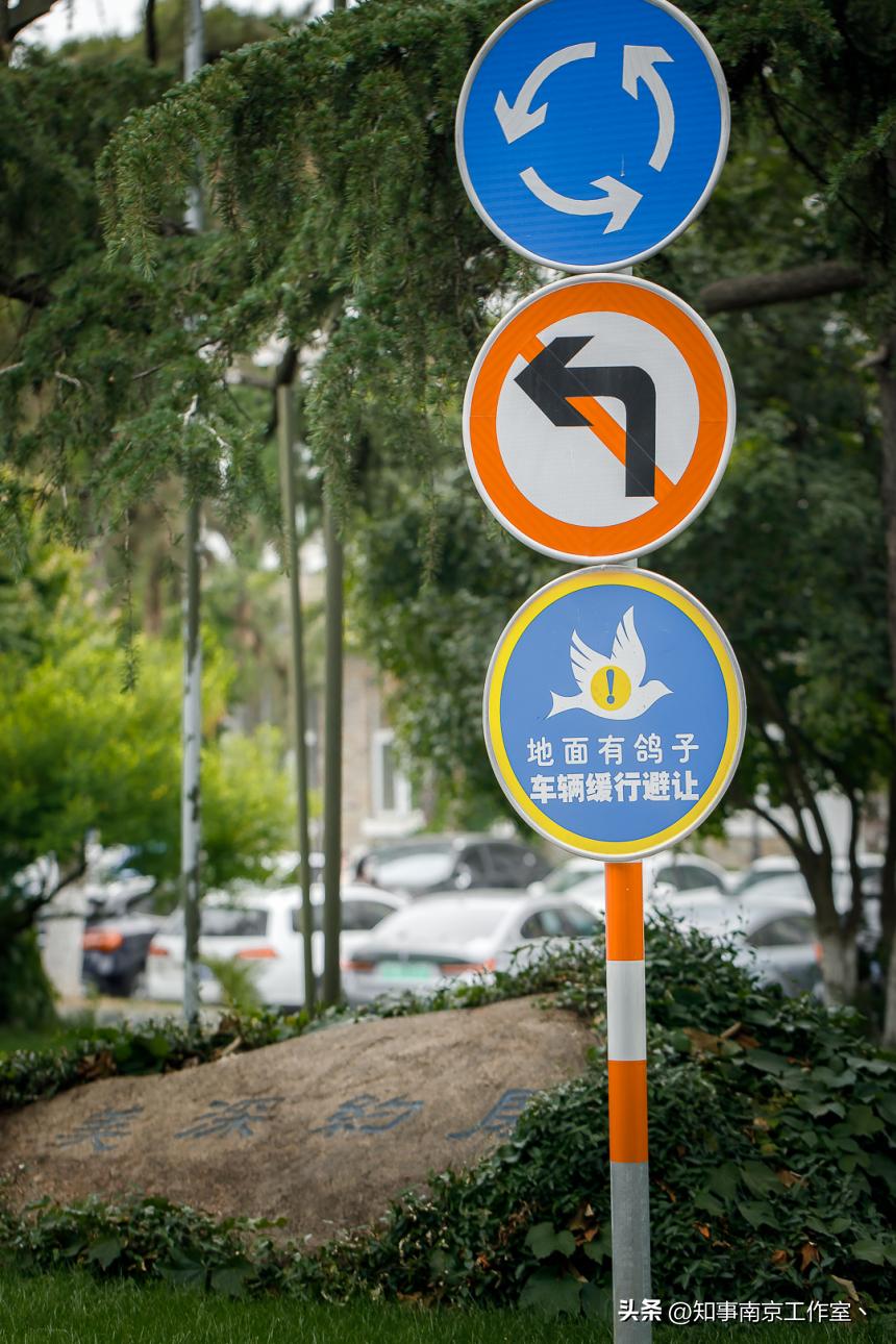 南京艺术学院520,南京艺术学院爱上你