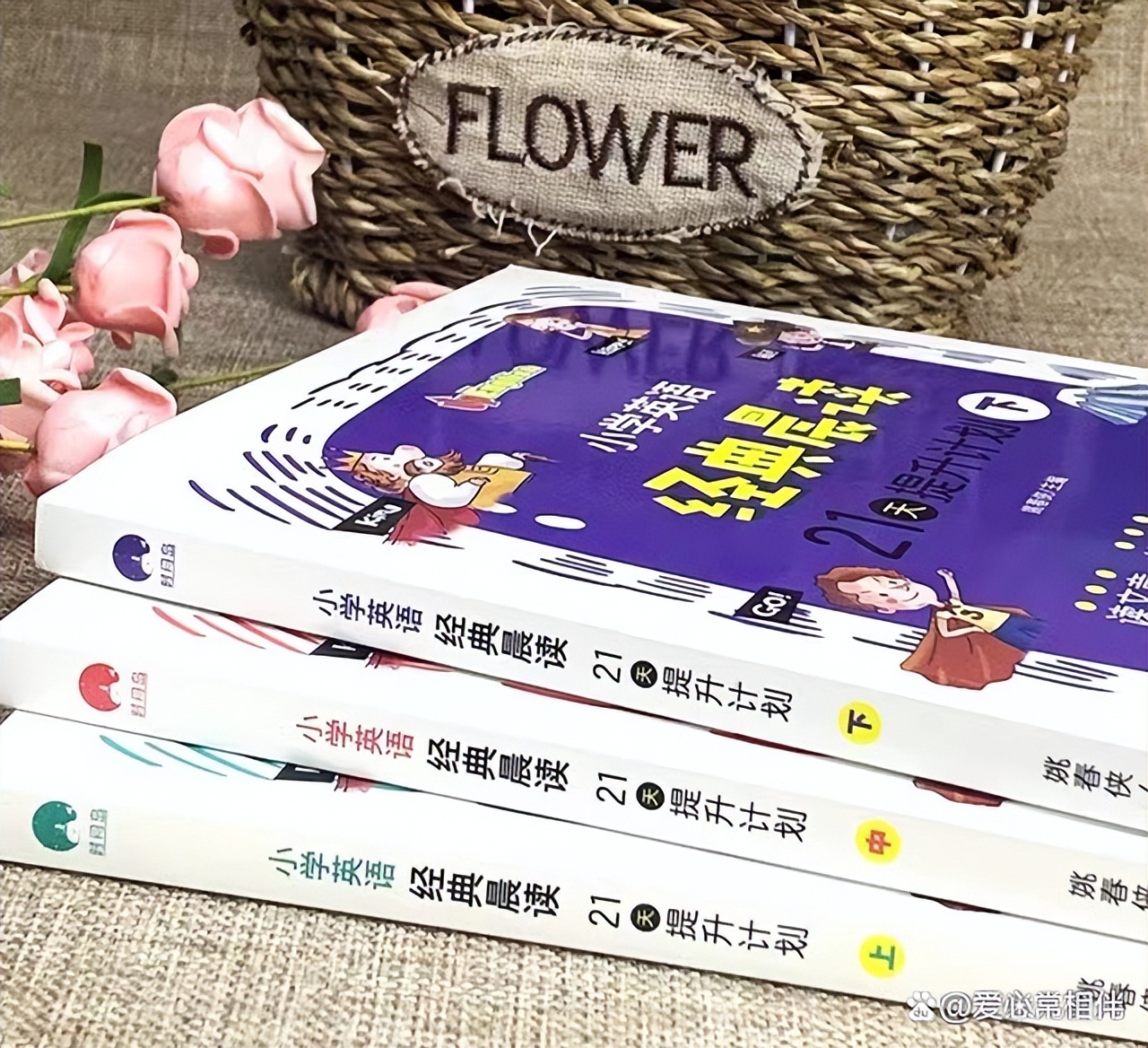 英语每日晨读适合零基础吗,英语晨读的正确方法