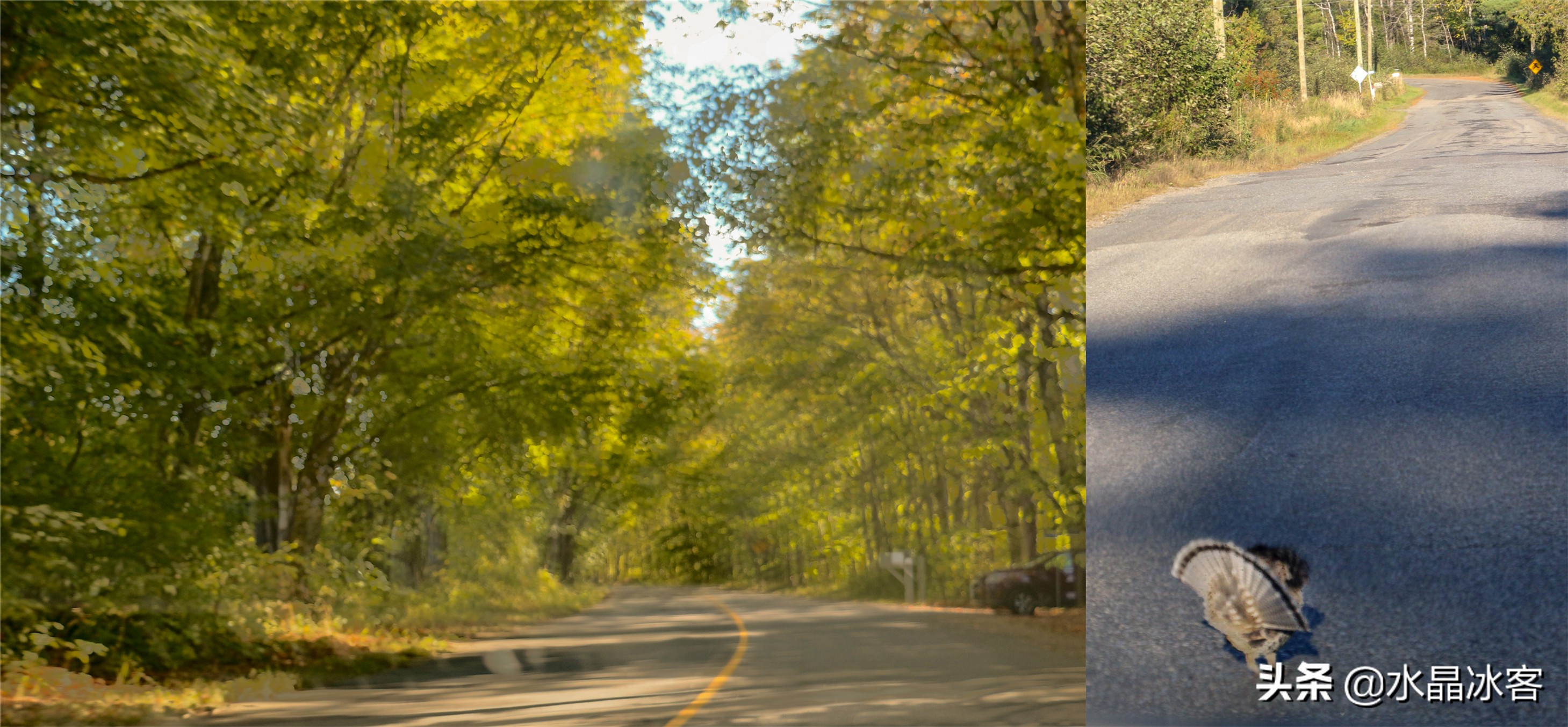 美东加东旅游,美东加东