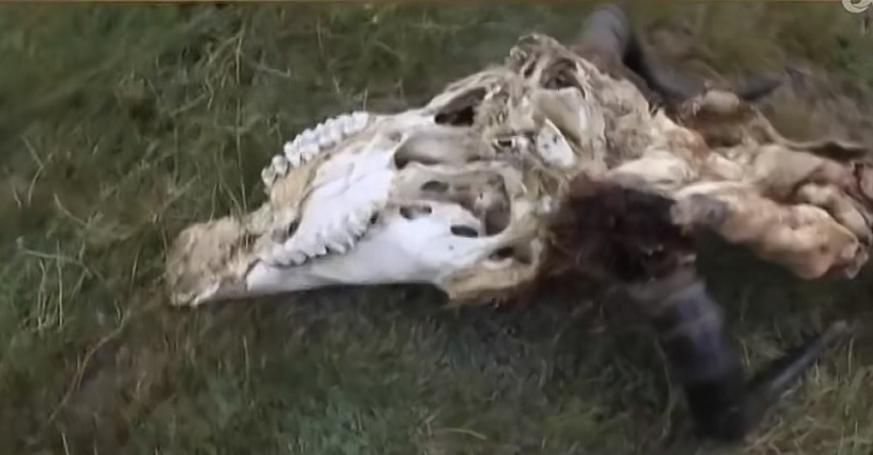 探索发现柴达木湖未解之谜,柴达木盆地的恶魔之眼的形成原因