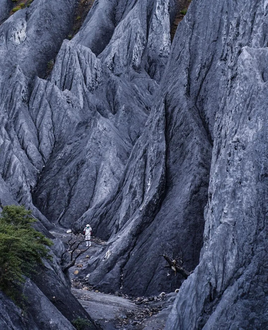 甘孜文旅局长化身侠客火出圈,火出圈啦